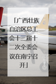 广西壮族自治区总工会十三届十二次全委会议在南宁召开