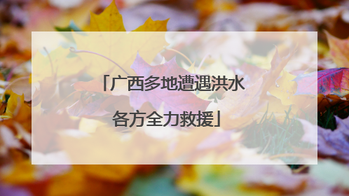 广西多地遭遇洪水 各方全力救援