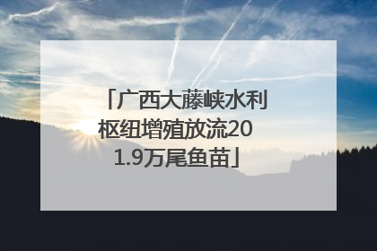 广西大藤峡水利枢纽增殖放流201.9万尾鱼苗