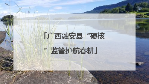 广西融安县“硬核”监管护航春耕