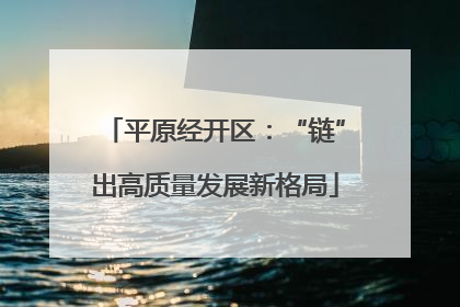 平原经开区：“链”出高质量发展新格局