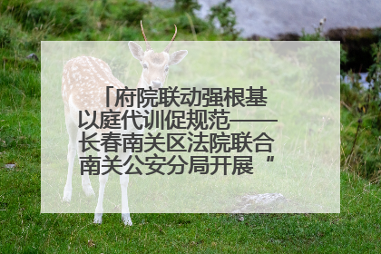 府院联动强根基 以庭代训促规范——长春南关区法院联合南关公安分局开展“以庭代训”
