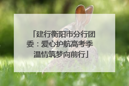 建行衡阳市分行团委：爱心护航高考季 温情筑梦向前行