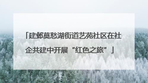 建邺莫愁湖街道艺苑社区在社企共建中开展“红色之旅”
