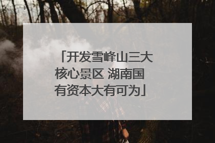 开发雪峰山三大核心景区 湖南国有资本大有可为