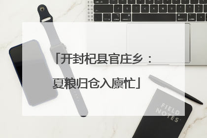 开封杞县官庄乡：夏粮归仓入廪忙