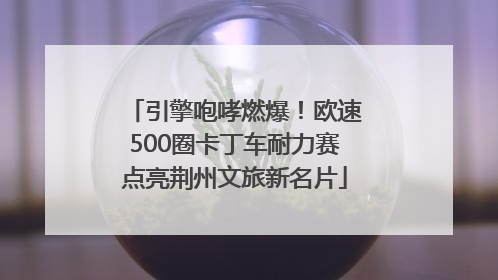 引擎咆哮燃爆！欧速500圈卡丁车耐力赛点亮荆州文旅新名片