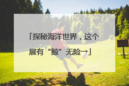 探秘海洋世界，这个展有“鲸”无险→