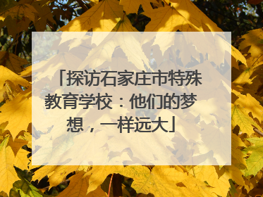 探访石家庄市特殊教育学校：他们的梦想，一样远大