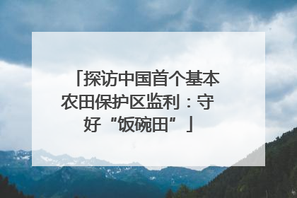 探访中国首个基本农田保护区监利：守好“饭碗田”