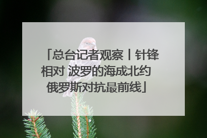 总台记者观察丨针锋相对 波罗的海成北约俄罗斯对抗最前线