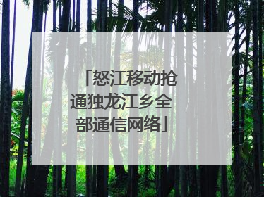 怒江移动抢通独龙江乡全部通信网络