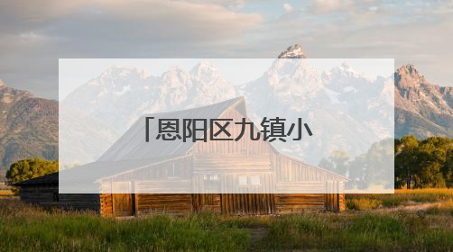 恩阳区九镇小学开展师德师风宣誓活动