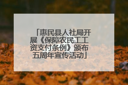 惠民县人社局开展《保障农民工工资支付条例》颁布五周年宣传活动