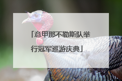 意甲那不勒斯队举行冠军巡游庆典