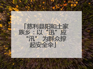 慈利县阳和土家族乡：以“迅”应“汛” 为群众撑起安全伞