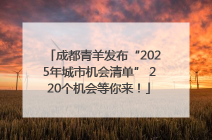 成都青羊发布“2025年城市机会清单” 220个机会等你来！