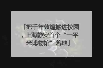 把千年敦煌搬进校园，上海静安首个“一平米博物馆”落地