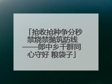 抢收抢种争分秒 禁烧禁抛筑防线——郎中乡干群同心守好 粮袋子