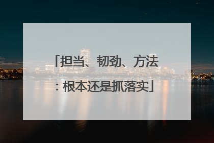担当、韧劲、方法：根本还是抓落实