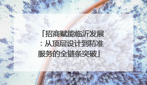 招商赋能临沂发展：从顶层设计到精准服务的全链条突破