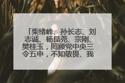 柴绪峰、孙长志、刘志诚、杨昆尧、宗刚、樊桂玉，罔顾党中央三令五申，不知敬畏、我行我素、肆意妄为！