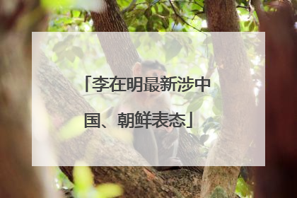 李在明最新涉中国、朝鲜表态