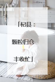 杞县：颗粒归仓丰收忙