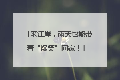 来江岸，雨天也能带着“爆笑”回家！