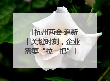 杭州两会·追新丨关键时刻，企业需要“拉一把”