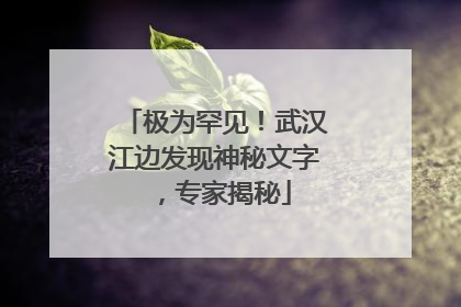 极为罕见！武汉江边发现神秘文字，专家揭秘