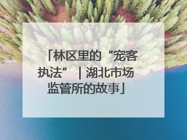 林区里的“宠客执法”｜湖北市场监管所的故事