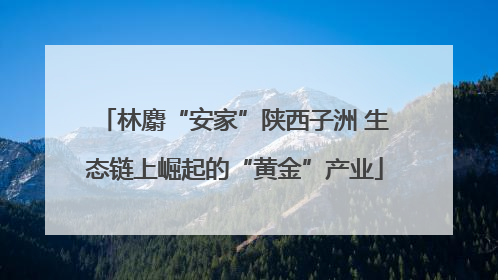 林麝“安家”陕西子洲 生态链上崛起的“黄金”产业