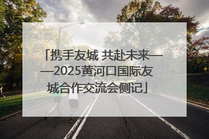 携手友城 共赴未来——2025黄河口国际友城合作交流会侧记