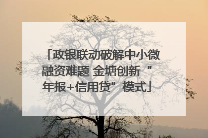 政银联动破解中小微融资难题 金塘创新“年报+信用贷”模式