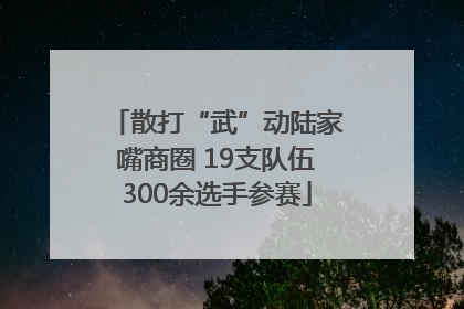 散打“武”动陆家嘴商圈 19支队伍300余选手参赛