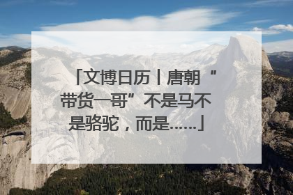 文博日历丨唐朝“带货一哥”不是马不是骆驼，而是……