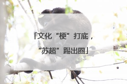 文化“梗”打底，“苏超”踢出圈