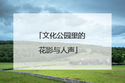 文化公园里的花影与人声