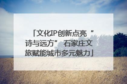 文化IP创新点亮“诗与远方” 石家庄文旅赋能城市多元魅力