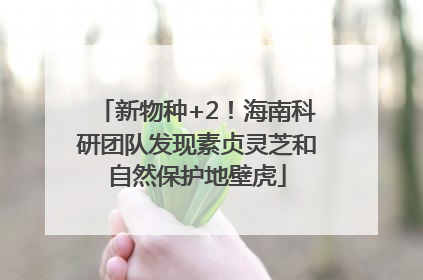 新物种+2！海南科研团队发现素贞灵芝和自然保护地壁虎