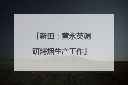新田：黄永英调研烤烟生产工作