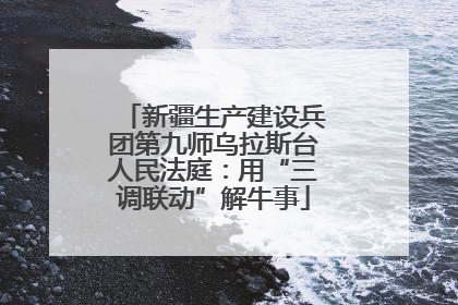 新疆生产建设兵团第九师乌拉斯台人民法庭：用“三调联动”解牛事