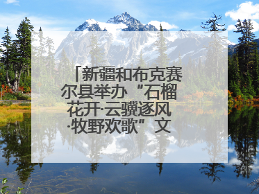 新疆和布克赛尔县举办“石榴花开·云骥逐风·牧野欢歌”文化演出季活动