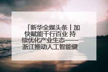 新华全媒头条丨加快赋能千行百业 持续优化产业生态——浙江推动人工智能健康有序发展观察
