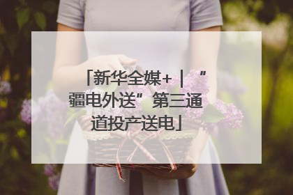 新华全媒+｜“疆电外送”第三通道投产送电