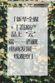 新华全媒+｜高原产品上“云”端——西藏电商发展一线观察