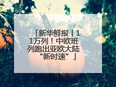 新华鲜报丨11万列！中欧班列跑出亚欧大陆“新时速”