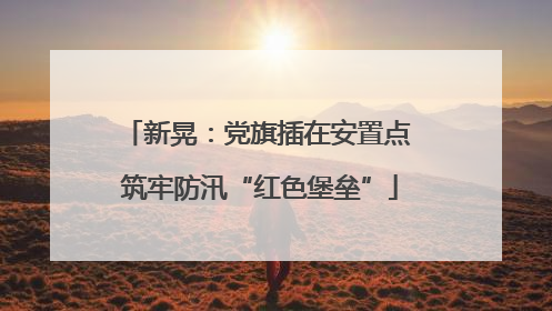 新晃：党旗插在安置点 筑牢防汛“红色堡垒”