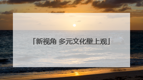 新视角 多元文化壁上观